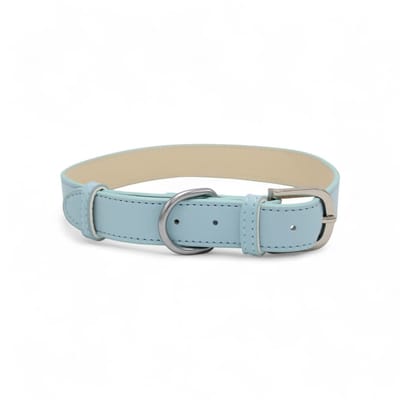 Dog's Companion Leren Halsband Hond - PU leren hondenhalsband - Lengte: 43 cm Verstelbaar van 27-37 cm x 20 mm - Blauw