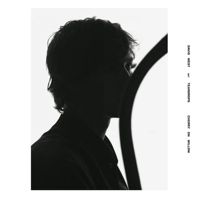 David West & Teardrops - Cherry On Willow (LP)
