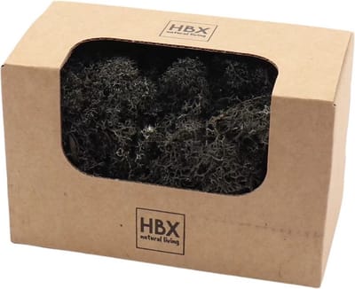 HBX Natural Living Decoratie mos - zwart - 50 gram - rendiermos - hobby