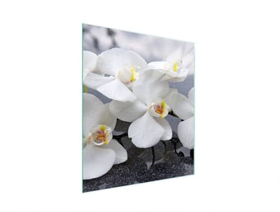 TMK ArtDeko - Snijplank - Glas - 45x52cm - Orchidea