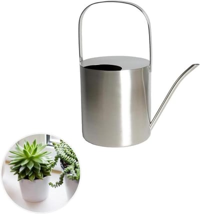 Gieter geborsteld roestvrij staal 25 liter - Topanbieter999, tuinieren met precisie