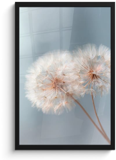 Poster in lijst - Fotolijst 40x60 cm - Posters - Paardenbloemen - Pluisjes - Wit - Posterlijst zwart - Decoratie - Wanddecoratie woonkamer - Muurdecoratie slaapkamer