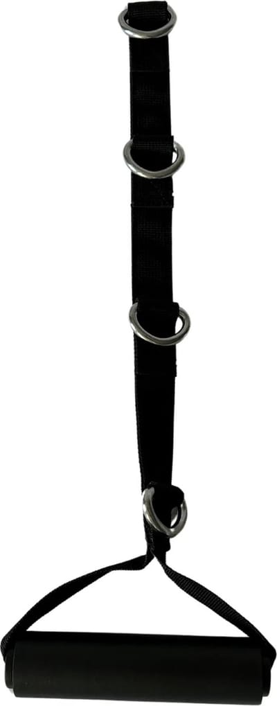 Inspire Multi-Ring D Handle