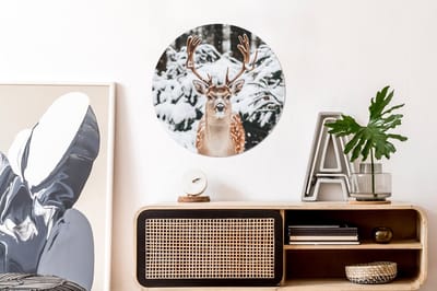 WallCircle - Wandcirkel - Muurcirkel - Hert - Sneeuw - Winter - Bos - Dieren - Aluminium - Dibond - 60x60 cm - Binnen en Buiten