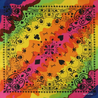 Haarsoires Haarband Bandana Zakdoek 55cm – Paisley Regenboog Print – Multicolor - Multifunctioneel Accessoire voor Haar, Festivals en Mode - One Size & Unisex
