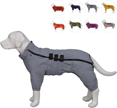 Hondenjas - Dubbellaags Vest - Buitenactiviteiten - Waterdicht & Reflecterend - 3XL Rug 56cm - Grijs