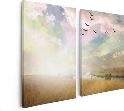 Artaza Canvas Schilderij Tweeluik Groep Vogels Vliegen Boven Het Gras - 80x60 - Foto Op Canvas - Canvas Print