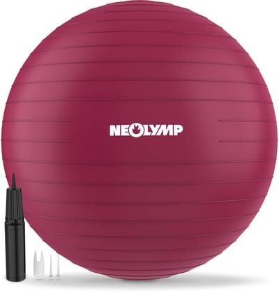 NEOLYMP Ergonomische gymbal Anti-Burst 300 kg zitbal thuiskantoor S