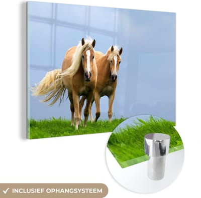 MuchoWow® Glasschilderij 30x20 cm - Schilderij acrylglas - Paarden - Gras - Lucht - Foto op glas - Schilderijen