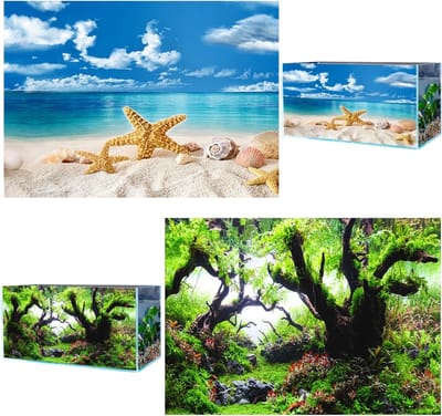 3D PVC Achtergronddecoratie voor Aquariums 62x30cm, Onderwater Thema voor Zoet- en Zoutwater, Levensecht Oceaanlandschap