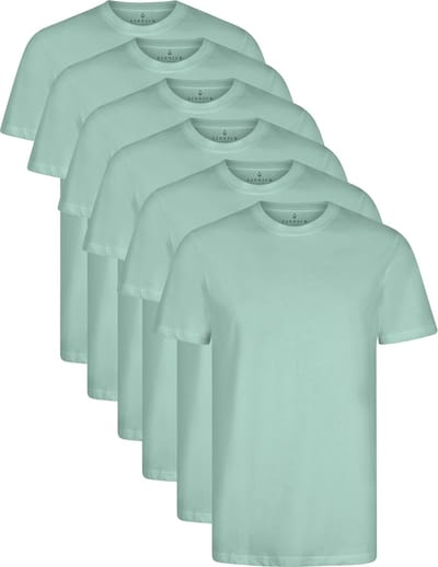 LINNICK Long Fit T-Shirt 6 Pack - Ronde Hals - Korte Mouw - T Shirt Heren - 100% Katoen - Longfit T Shirt Heren - Mineral - Maat S - Set van 6