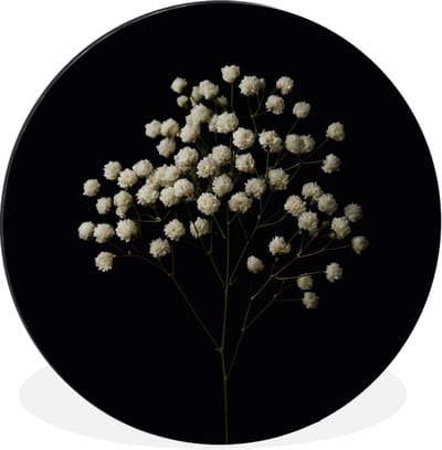 WallCircle - Wandcirkel - Muurcirkel - Gipskruid - Bloemetjes - Wit - Minimalistisch - Aluminium - Dibond - 30x30 cm - Binnen en Buiten