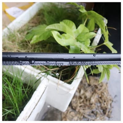 Druppelslang - Irrigatieslang Tuinslang - Planten Water Geven - Algenbestendig PE Materiaal - 200m 16mm - Zwart
