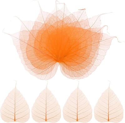 Set van 100 Skeletbladeren, Natuurlijke Gedroogde Bodhi Bladeren voor Resin, DIY Creaties en Scrapbooking, Decoratieve Kleine Bladeren [13cm, Oranje]
