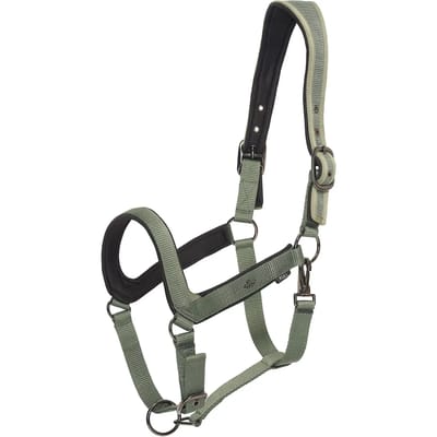 Halster voor paarden HV Polo Essential