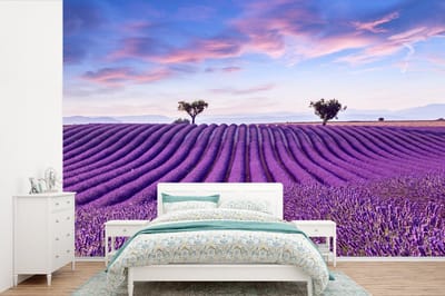 Behang - Fotobehang Lavendel - Natuur - Paars - Bomen - Bloemen - Breedte 600 cm x hoogte 400 cm