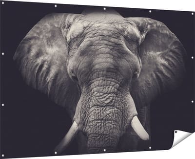 Gards Tuinposter Olifantenkop - Olifant - Zwart Wit - 180x120 cm - Tuindoek - Tuindecoratie - Wanddecoratie buiten - Tuinschilderij