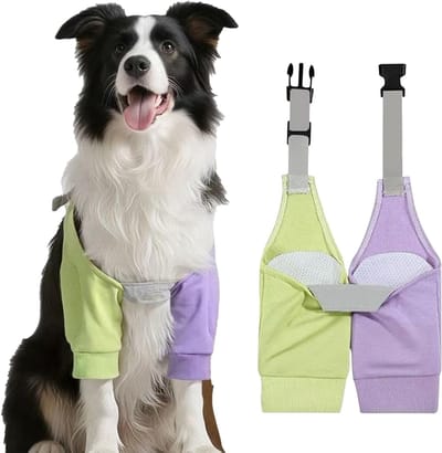 Elbow Bandage voor Honden, Draagbare Bescherming met Contrasterende Kleuren en Slijtvast Ontwerp, Ideaal voor Alle Seizoenen en Ondersteuning van de Voorpoten