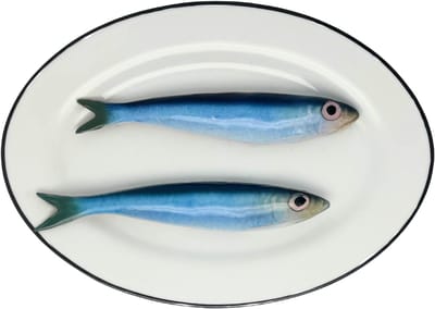 Sardines op ovaal wit bord met donker grijze rand, 24x17cm
