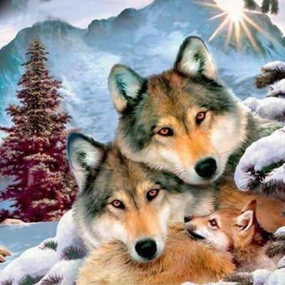 Diamant schilderij Wolf kruissteek diamant borduurwerk landschap handwerkpatronen ronde strass 30x30CM white