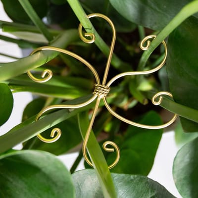 5 stuks Monstera plantenstengelsteunhaken - 16.5*16.5cm - duurzame metalen stengelstabilisator voor Monstera planten en visgraatcactus - Zachte bladsteun - Eenvoudige installatie