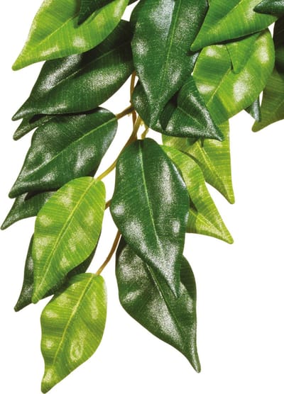 Exo Terra - Kunstplanten - Reptielen - Ficus L - 22,5x4x80cm - 1st
