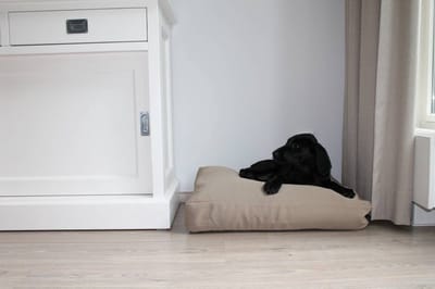 Dog's Companion Hondenkussen / Benchkussen - Beige - 65 x 50 x 10 cm