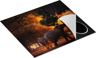 Chefcare Inductie Beschermer Twee Olifanten in het Bos - 60x50 cm - Afdekplaat Inductie - Kookplaat Beschermer - Inductie Mat