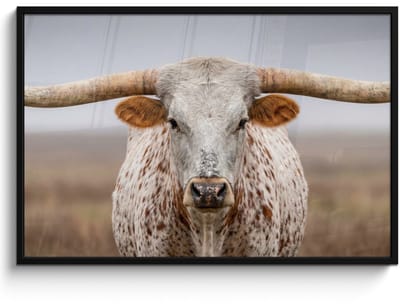 Poster in lijst - Fotolijst 120x80 cm - Posters - Longhorn - Grasveld - Dier - Posterlijst zwart - Decoratie - Wanddecoratie woonkamer - Muurdecoratie slaapkamer
