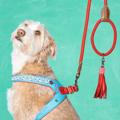 Dutchie Hondentuigje Maat 1 (27-29 cm)