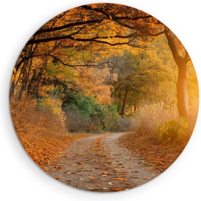 Saammp Muurcirkel Hout - Weg door het bos - Herfst - Landschap - Natuur - Ø 90 - Wandcirkel - Wanddecoratie Cirkel - Muurdecoratie Woonkamer - Slaapkamer decoratie - Rond Schilderij