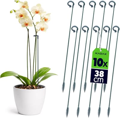 KADAX bloemensteunen 38 cm, set van 10, orchideeënstokken voor het stabiliseren van stengels en bloemen, plantenstokken van glasvezel en kunststof, klimsteun voor orchideeën