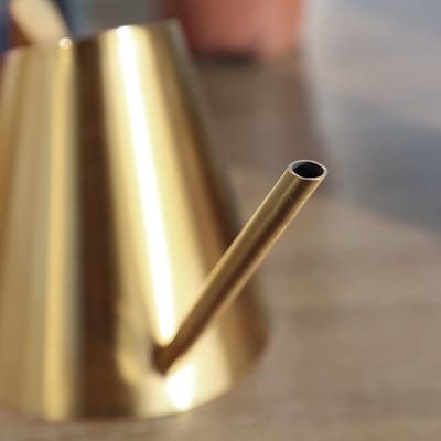 Gieter Lange Uitloop - Roestvrij Staal - Planten Water Geven - Roestbestendig Modern Design - 1500 ml - Goud