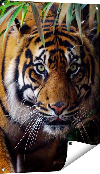Gards Tuinposter Tijger in de Jungle - 60x90 cm - Tuindoek - Tuindecoratie - Wanddecoratie buiten - Tuinschilderij