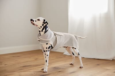 Palopa Honden badjas Robi beige M