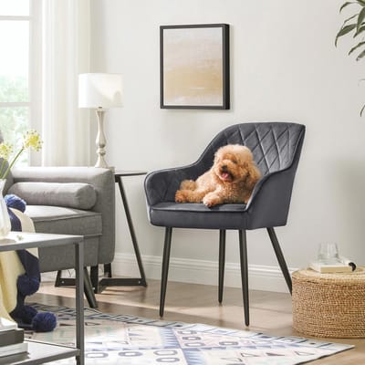 Eetkamerstoelen - Set van 6 - Fluwelen stoelen - Met armleuningen - Modern - Grijs
