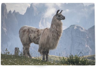 Deurmat Alpaca bergen 75x50cm