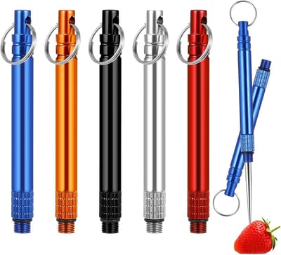 5 Pack Draagbare Herbruikbare Tandenstokers - Roestvrij Staal Titanium voor Reizen en Outdoor Activiteiten