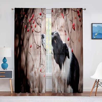 Twee Mooie Border Collie Hond Tule Gordijnen voor Woonkamer Transparante Gordijnen Raam voor Slaapkamer Accessoires Decor 1 PCS W100XH250cm&Grommet Top