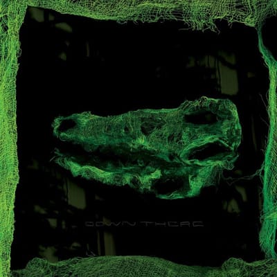 Avey Tare - Down There (CD)