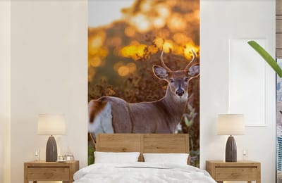 Behang - Fotobehang Hert - Planten - Zonsondergang - Wilde dieren - Natuur - Breedte 120 cm x hoogte 240 cm