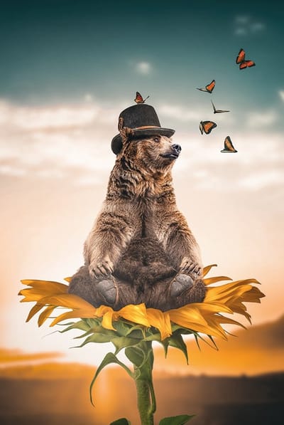 Poster op papier - 40 x 60 cm - Beer met hoed op zonnebloem en vlinders - PosterJunkie