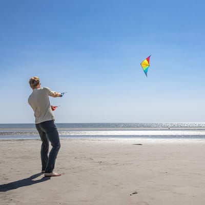 Stuntvlieger - Speed Kite - Sportief Vliegeren - Robuust Koolstof Frame - 146 x 72 cm - Regenboog Kleuren