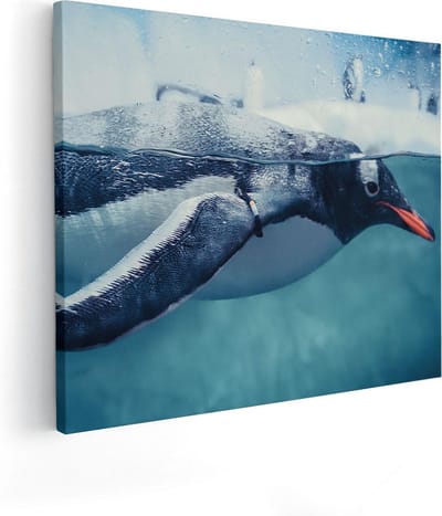 Artaza Canvas Schilderij Zwemmende Pinguïn - 50x40 cm - Wanddecoratie Vogels - Muurdecoratie Dieren - Kamer Accessoires