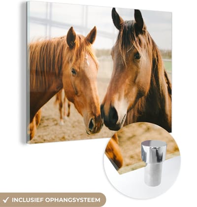MuchoWow® Glasschilderij 40x30 cm - Schilderij acrylglas - Paard - Strand - Dieren - Foto op glas - Schilderijen