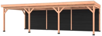 Douglas overkapping, 900 x 400, met zwarte achterwand, Westwood Comfort Plus