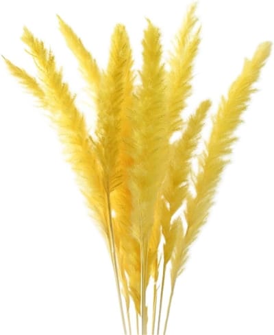 Droog Pampasgras Boeket - Pluizig Riet Decoratie - Feestelijke Tafeldecoratie - Natuurlijke Sfeermaker - Verschillende Lengtes - Rood