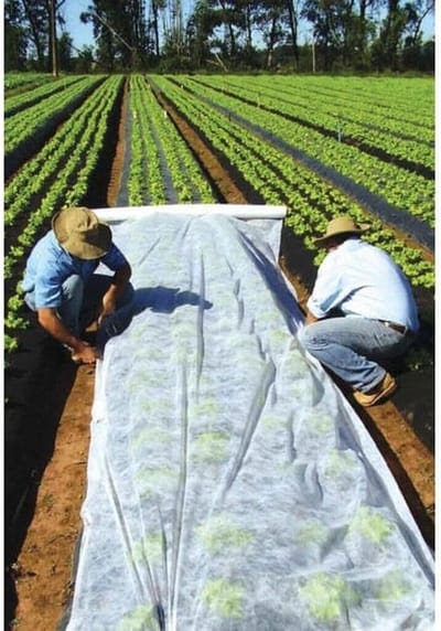 Tuinvlies Plantenbescherming - Vorstvlies Groente - Bescherming Tegen Vorst - Waterdoorlatend Ademend - 21 x Meter - Wit