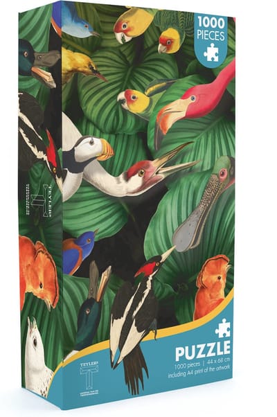 Lanzfeld - Puzzel Volwassenen - 1000 Stukjes - Teylers Museum - Vogel Pracht - Kunst