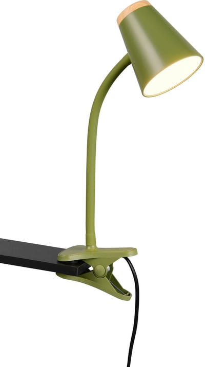 REALITY PONGO - Klemlicht - Groen - incl. 1x SMD 4,5 W - Flexibel - LED-printplaat met hoog voltage - Niet dimbaar - Klemlamp